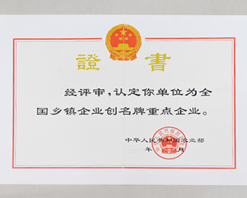 全國鄉鎮企業創名牌重點企業 全國鄉鎮企業創名牌重點企業