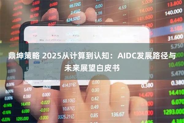鼎坤策略 2025从计算到认知：AIDC发展路径与未来展望白皮书