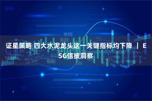 证星策略 四大水泥龙头这一关键指标均下降 ｜ ESG信披洞察