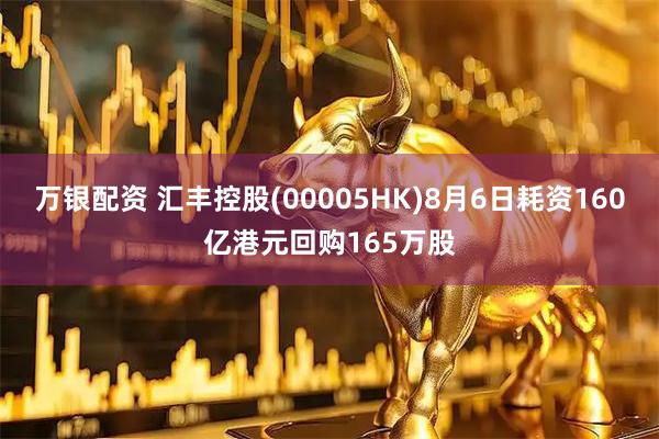 万银配资 汇丰控股(00005HK)8月6日耗资160亿港元回购165万股